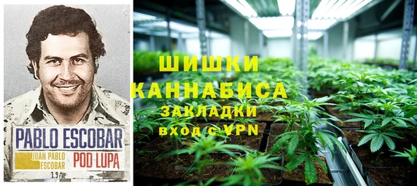 ГАЛЛЮЦИНОГЕННЫЕ ГРИБЫ Баксан