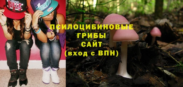 Альфа ПВП Арсеньев