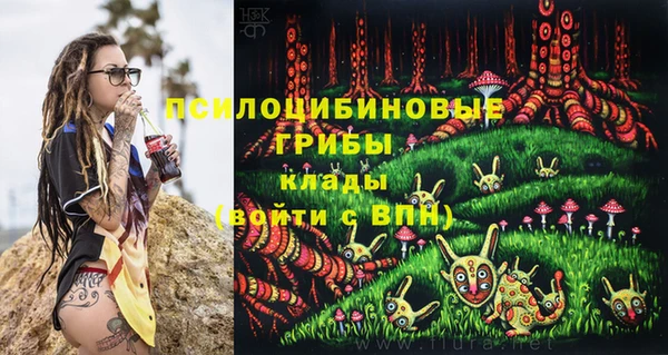 молекула духа Балахна